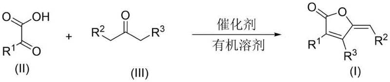 General reaction scheme for the synthesis of 5,6-dihydrobenzofuranone derivatives using alpha-keto acids and aliphatic ketones