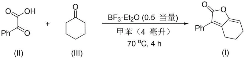 Specific example of benzoylformic acid reacting with cyclohexanone to form the target dihydrobenzofuranone structure