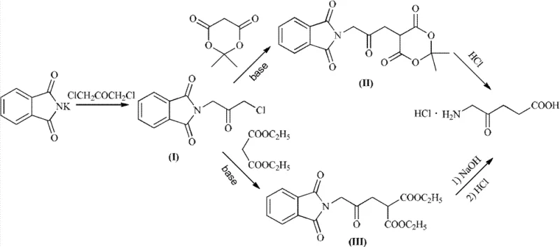Synthetic route of 5-ALA HCl from 1,3-dichloroacetone via Gabriel reaction and malonate substitution