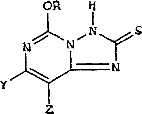 Oxidation of 5-alkoxy triazolopyrimidine thione to 2,2-dithio-bis intermediate using hydrogen peroxide