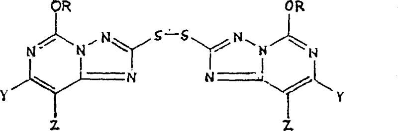 Chloroxidation of 2,2-dithio-bis intermediate to 2-chlorosulfonyl-5-alkoxy triazolopyrimidine