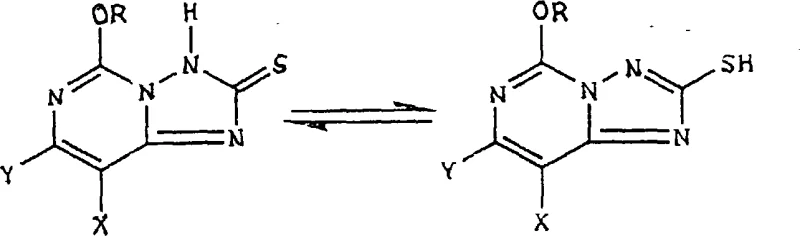 Tautomeric equilibrium between ketone and enol forms of 5-alkoxy triazolopyrimidine thione compounds