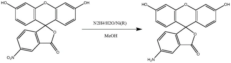 Chemical reduction of 5-nitrofluorescein to 5-aminofluorescein showing the transformation of the nitro group to an amino group