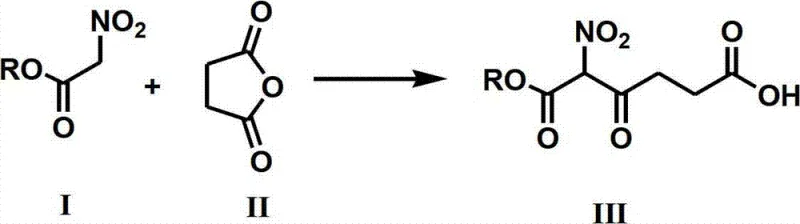 Core synthetic route of 5-aminolevulinic acid via nitroacetate nucleophilic addition