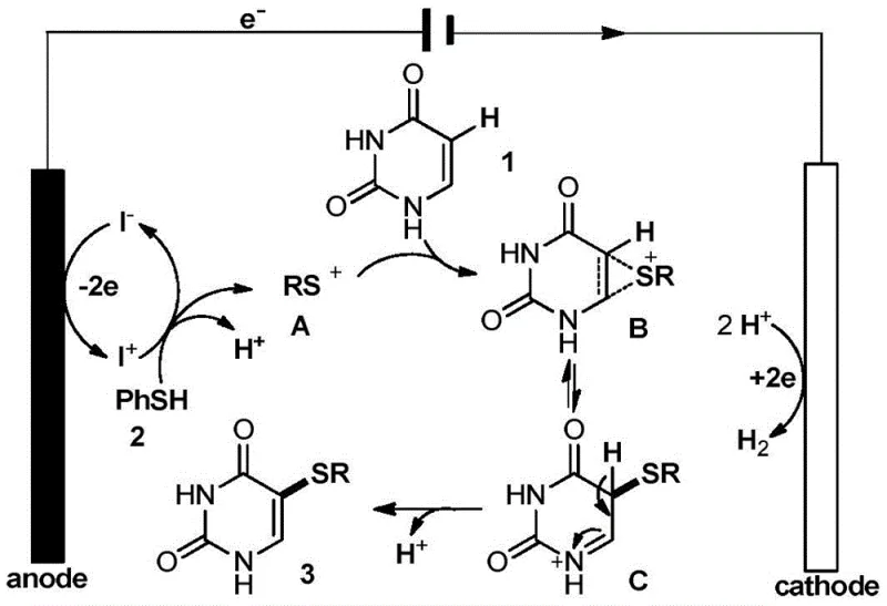 Proposed catalytic cycle showing anodic oxidation of iodide and coupling with uracil