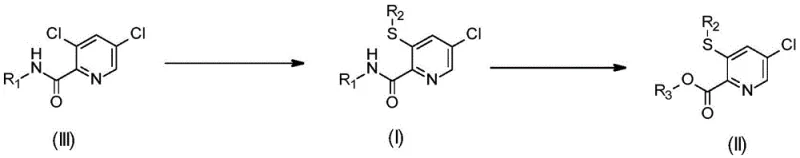 Scheme 3 illustrating the envisaged direct pathway from dichloro precursors to target compounds