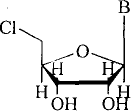 General chemical structure of 5'-chloronucleosides showing the chlorine substitution at the 5' position of the ribose ring
