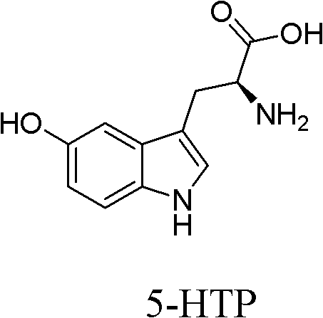 Chemical structure of 5-HTP showing the indole core and amino acid side chain