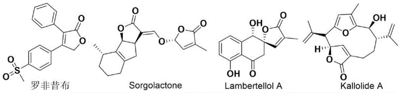 Bioactive molecules containing the furan-2(5H)-one skeleton such as Rofecoxib and natural products