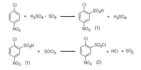 Conventional synthesis route showing sulfonation followed by thionyl chloride chlorination