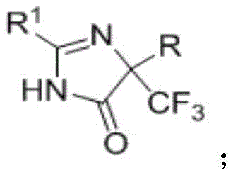 General chemical structure of 5-trifluoromethyl-4H-imidazoline-4-ketone derivatives showing variable R groups