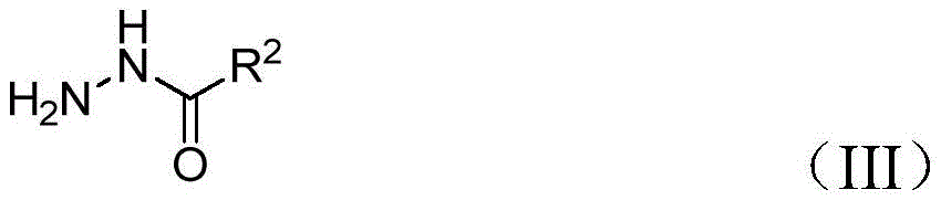 Chemical structure of hydrazide precursor showing nucleophilic nitrogen centers