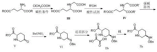 Novel synthetic route from L-glutamic acid to 5R-benzyloxyaminopiperidine-2S-formate oxalate