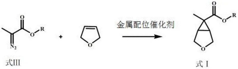 Detailed reaction mechanism for the formation of lactone intermediate Formula I from Formula III and 2,5-dihydrofuran