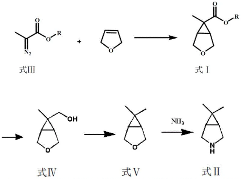 Overall reaction scheme showing the conversion of diazo compounds and dihydrofuran to the target amine via lactone intermediates