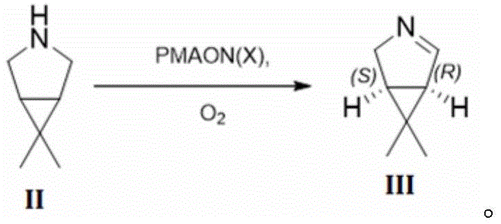 Enzymatic oxidation mechanism converting Formula II to Formula III using PMAON