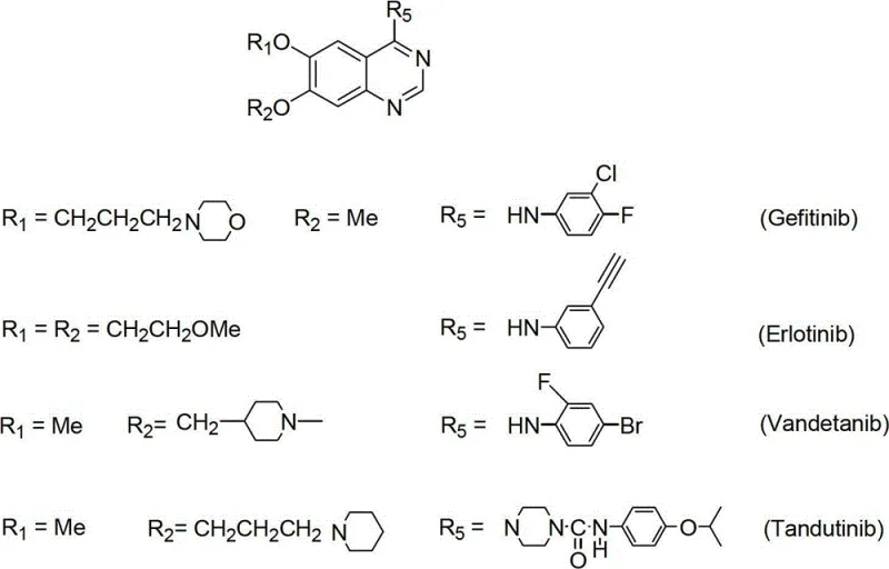 Chemical structures of EGFR inhibitors including Gefitinib, Erlotinib, Vandetanib, and Tandutinib