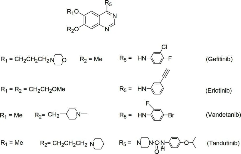 Synthetic route for 6,7-substituted-4-anilinoquinazoline showing esterification, nitration, and cyclization steps