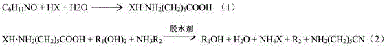 Chemical reaction scheme showing the conversion of caprolactam to 6-aminocaproic acid salt and subsequent dehydration to 6-aminocapronitrile