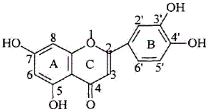 Chemical structure of Luteolin, the core starting material for the synthesis of 6'-amino derivatives