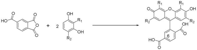 General reaction scheme showing the SnCl4 catalyzed condensation of trimellitic anhydride with resorcinol derivatives to form 6-carboxyfluorescein