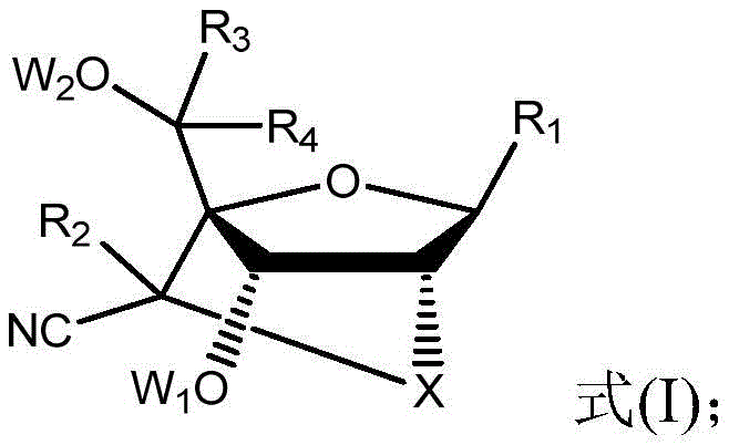 General structure of 6'-CN modified nucleoside showing the nitrile group at the bridge position