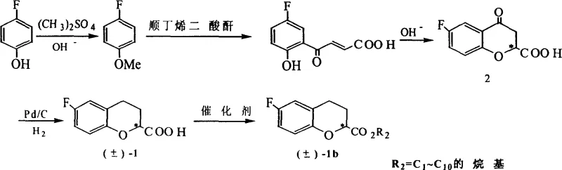 Synthetic Route 1 showing acylation, cyclization, and hydrogenation steps