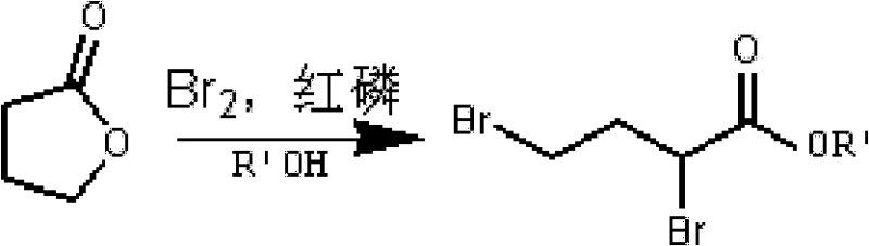 Synthesis of 2,4-dibromobutyric acid alkyl ester from gamma-butyrolactone