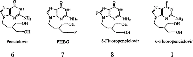 Structural comparison of Penciclovir and its fluorinated derivatives including 6-Fluoropenciclovir