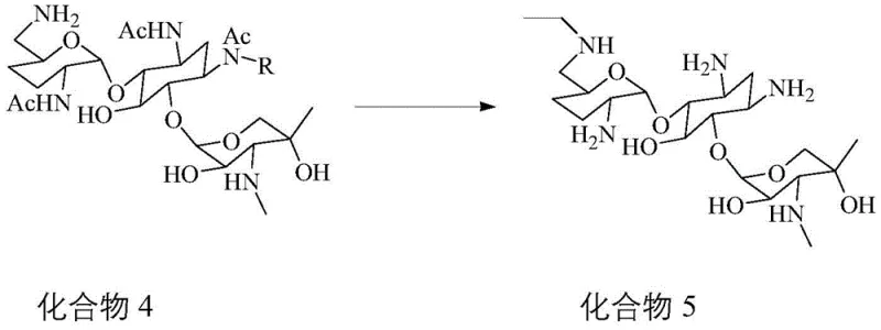 Final reductive amination and deprotection steps converting Compound 4 to 6'-N-Ethyl Gentamicin C1a