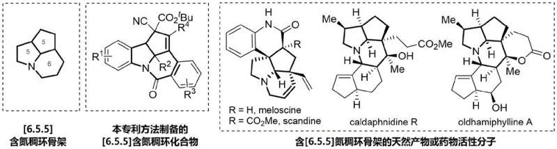 Chemical structures of [6.5.5] aza-condensed ring skeletons found in natural products like Meloscine and Scandine