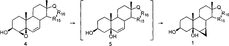 Reductive ring-opening and cyclopropanation mechanism leading to the target 6beta7beta-methylene structure