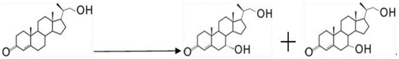 Microbial hydroxylation reaction converting 4-HBC substrate into 7-alpha and 7-beta hydroxy isomers