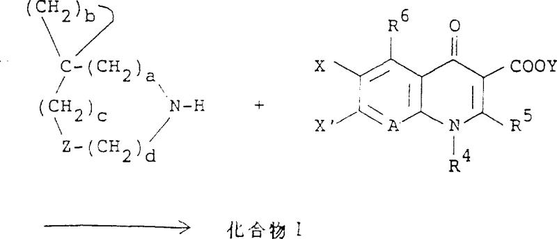 General reaction scheme showing coupling of spiro amine with quinolone derivative