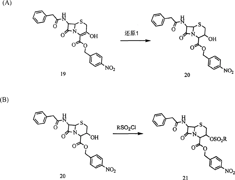 Novel green synthesis route for 7-ANCA involving borohydride reduction and enzymatic deprotection
