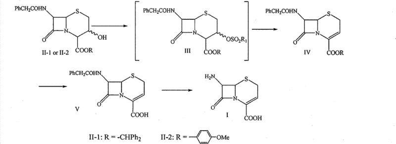 General synthetic route for 7-ANCA showing sulfonylation, elimination, deprotection, and enzymatic hydrolysis steps