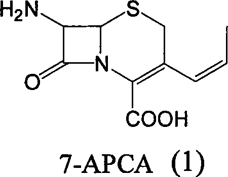 Chemical structure of 7-APCA (1), the core intermediate for Cefprozil