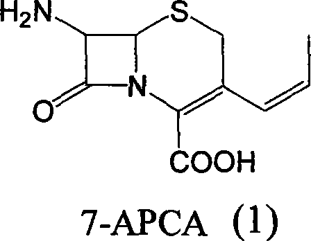 Novel synthetic route for 7-APCA starting from 7-ACA showing simplified steps
