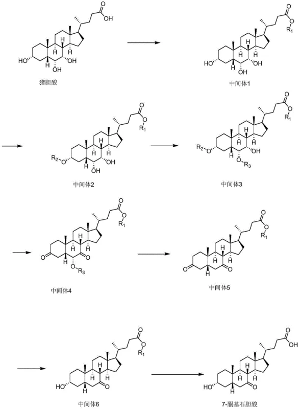 Complete synthetic route from hyocholic acid to 7-ketolithocholic acid showing key intermediates
