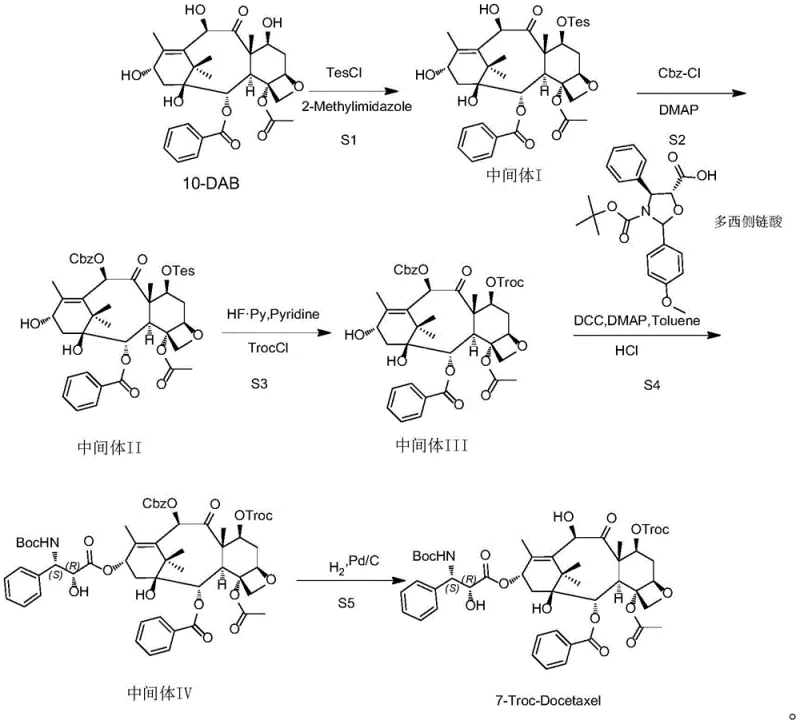 Complete 5-step synthetic route from 10-DAB to 7-Troc-Docetaxel