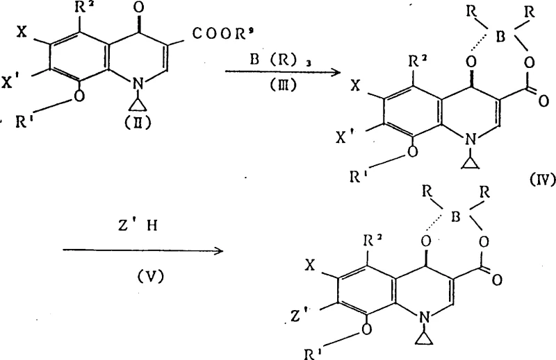 Synthesis route showing formation of boron chelate intermediate and subsequent amination