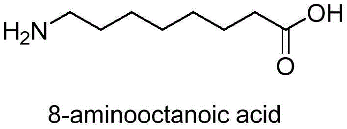 Chemical structure of 8-aminooctanoic acid, the key intermediate for SNAC