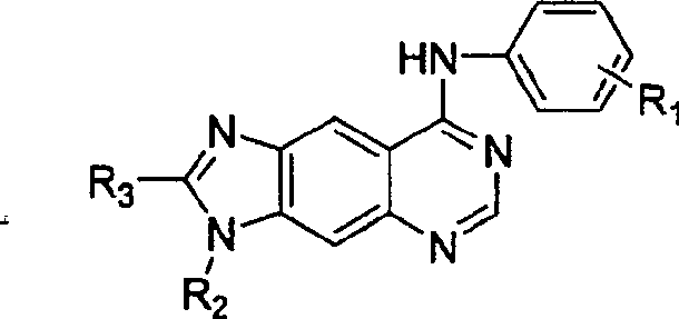 General structural formula of 8-arylamino-3H-imidazo[4,5-g]quinazoline derivatives showing variable R groups