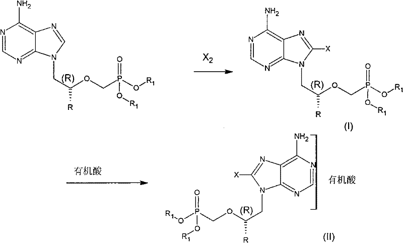 General synthetic route showing halogenation of adenine nucleoside followed by salt formation