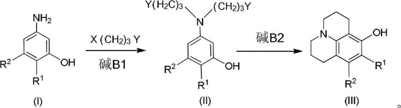 Detailed two-step reaction mechanism showing intermolecular alkylation followed by intramolecular cyclization to form the julolidine core
