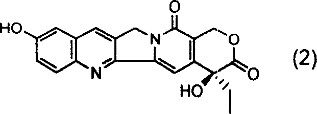 Chemical structure of 10-hydroxycamptothecin core scaffold showing the five-ring system and lactone E-ring