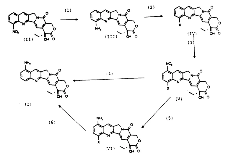 Reaction scheme showing the conversion of 12-nitrocamptothecin to 9-aminocamptothecin via 12-amino and 12-halo intermediates
