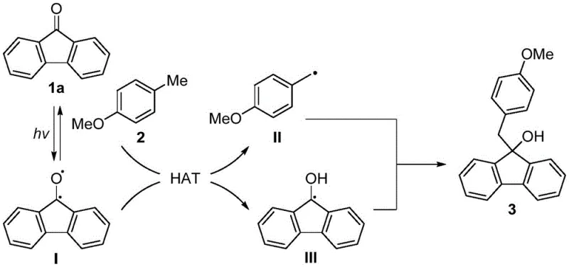 Proposed radical mechanism involving diradical species and hydrogen atom transfer under blue light