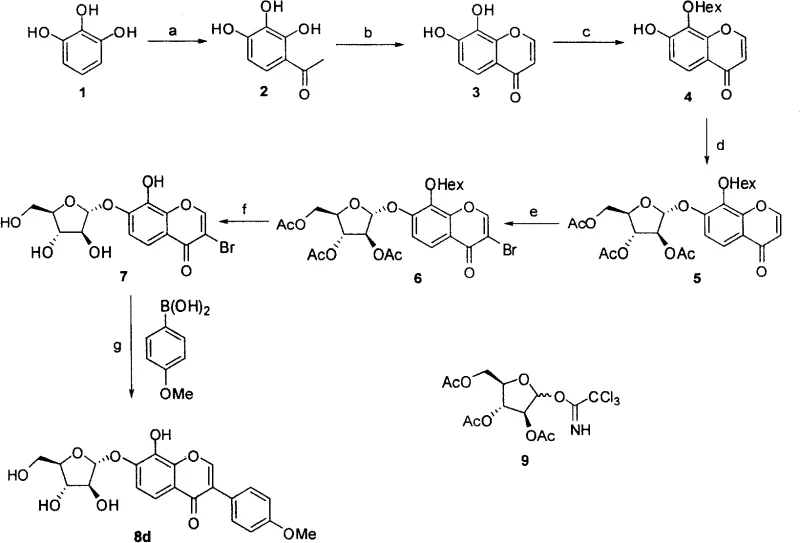Complete synthetic route from pyrogallol to final A-76202 analogues showing key intermediates