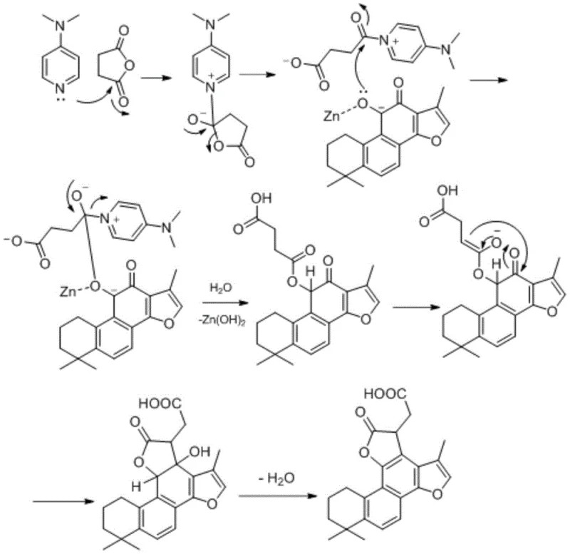 Detailed reaction mechanism showing Zn/DMAP catalysis and lactonization